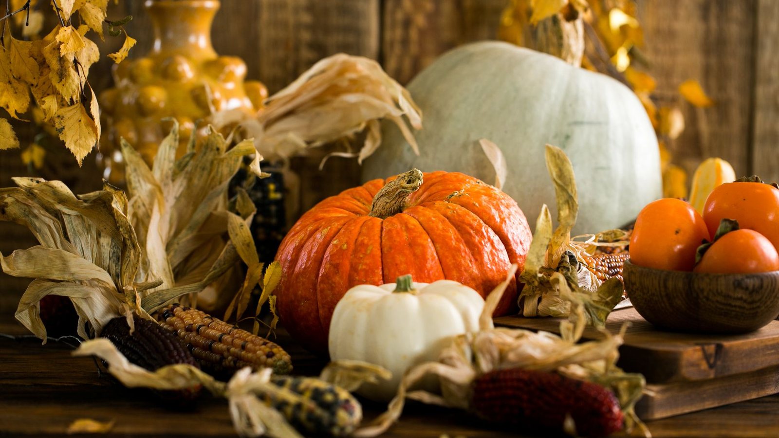 Photograph of orange and white pumpkins, persimmons in a wooden bowl and dried corn husks on a rustic wooden table